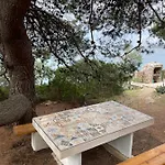 Pure Nature