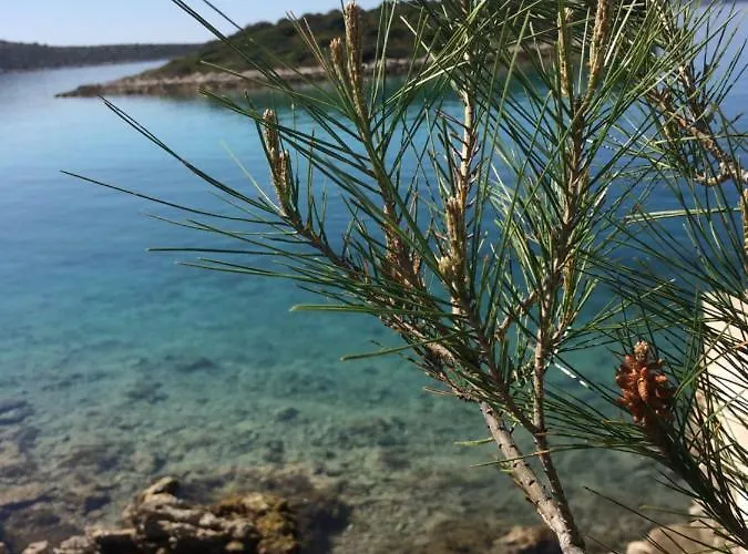 Pure Nature Tkon