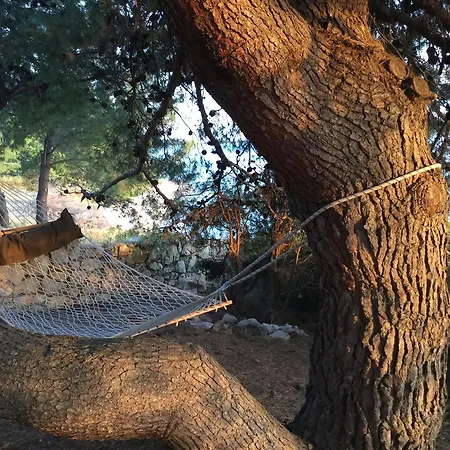 Pure Nature Feriehus *