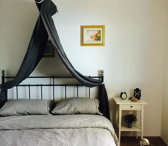 Pure Nature تكون