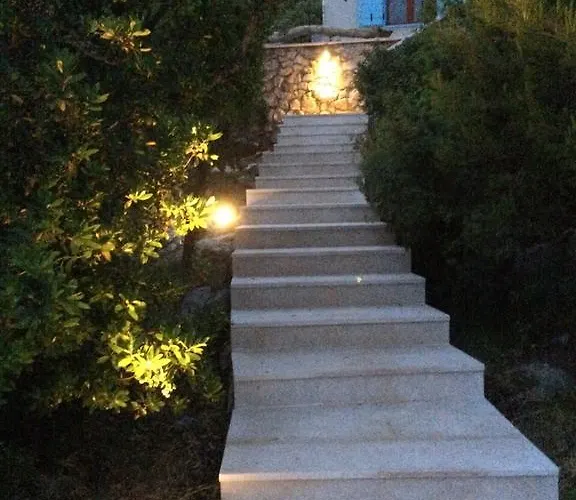 Pure Nature تكون